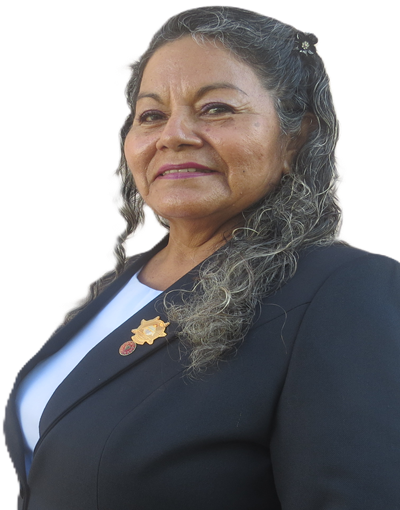 Mgº MERCEDES<br> DOLORES SANJINEZ SALAZAR