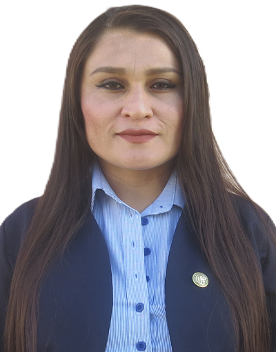Mg. YERLY YOVANY GUEVARA NEYRA